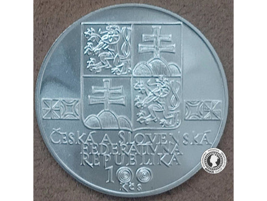 Strieborná minca 100kcs / 1993 - Slovenská muzealna spolocnost - kvalita BK 0/0