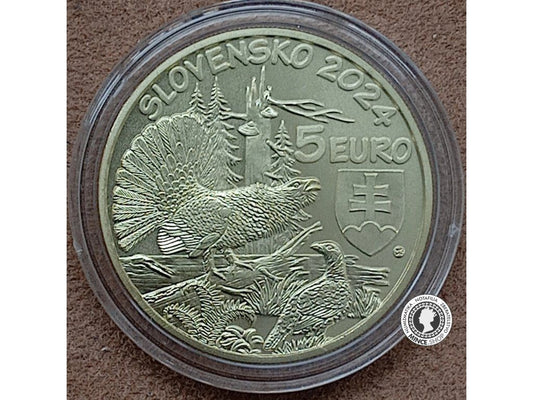 Zberateľská eurominca 5 eur / 2024 Fauna a flóra na Slovensku – hlucháň hôrny