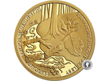 Zlatá minca Au Proof 100€ / 2015 - Karpatské Bukové Pralesy